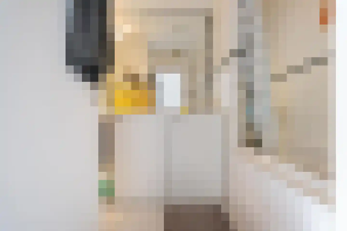 Peizerweg 14 Groningen thumbnail 27