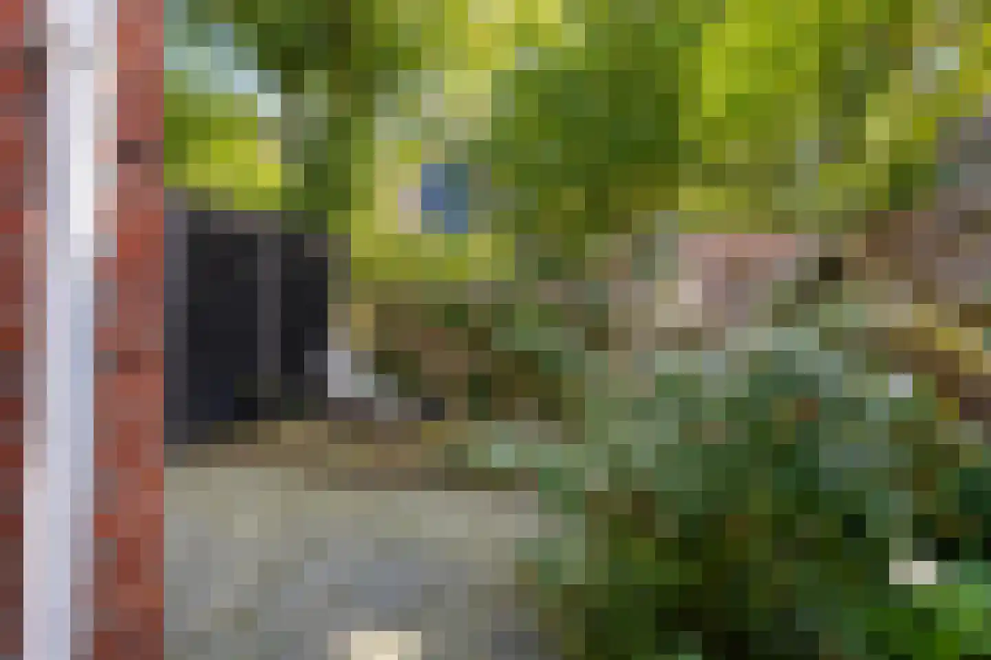 Peizerweg 14 Groningen thumbnail 42
