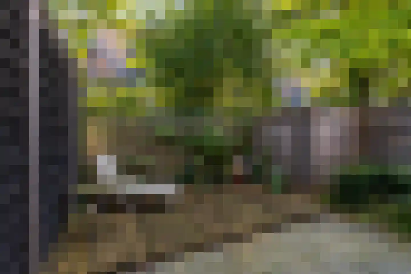 Peizerweg 14 Groningen thumbnail 7