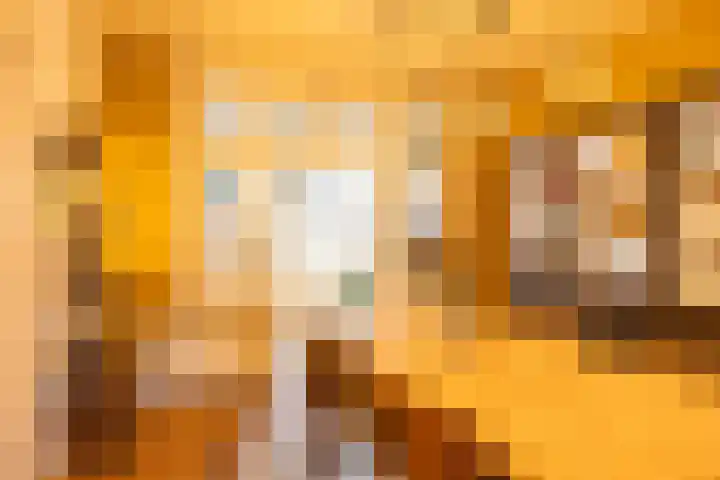 Peizerweg 16 Groningen thumbnail 24