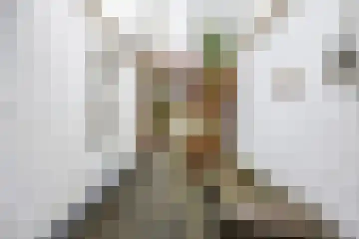 Peizerweg 16 Groningen thumbnail 46