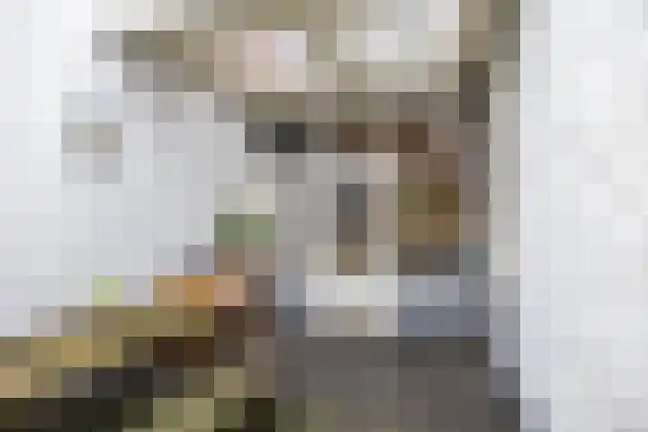 Peizerweg 16 Groningen thumbnail 47