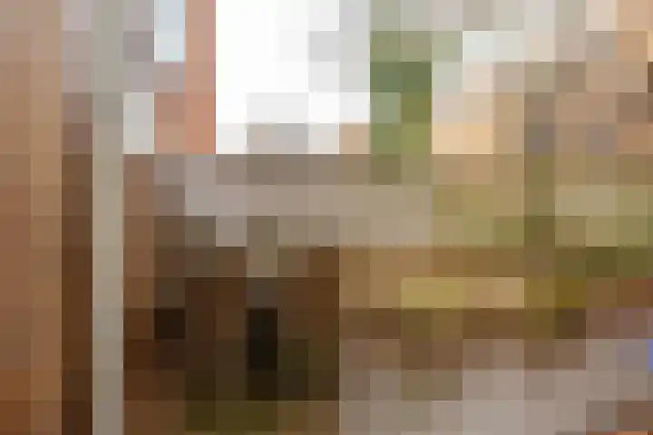 Peizerweg 16 Groningen thumbnail 49