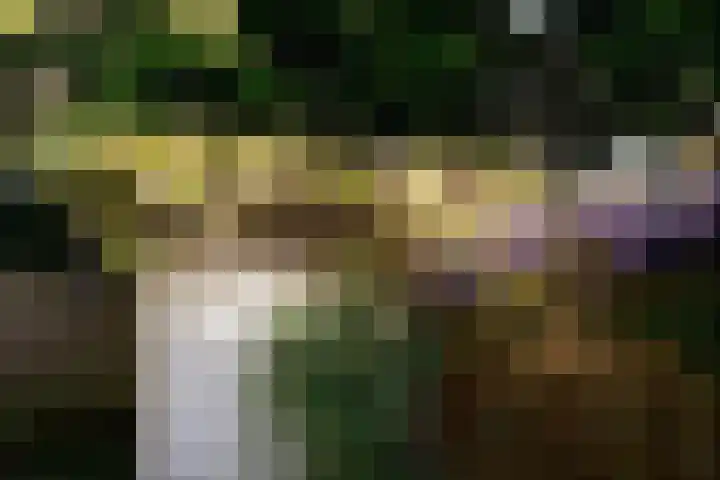 Peizerweg 16 Groningen thumbnail 52