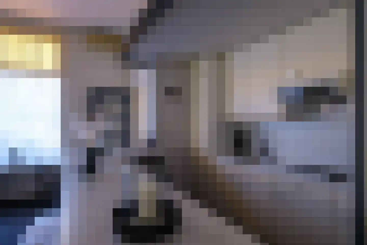 Peizerweg 178 Groningen thumbnail 13