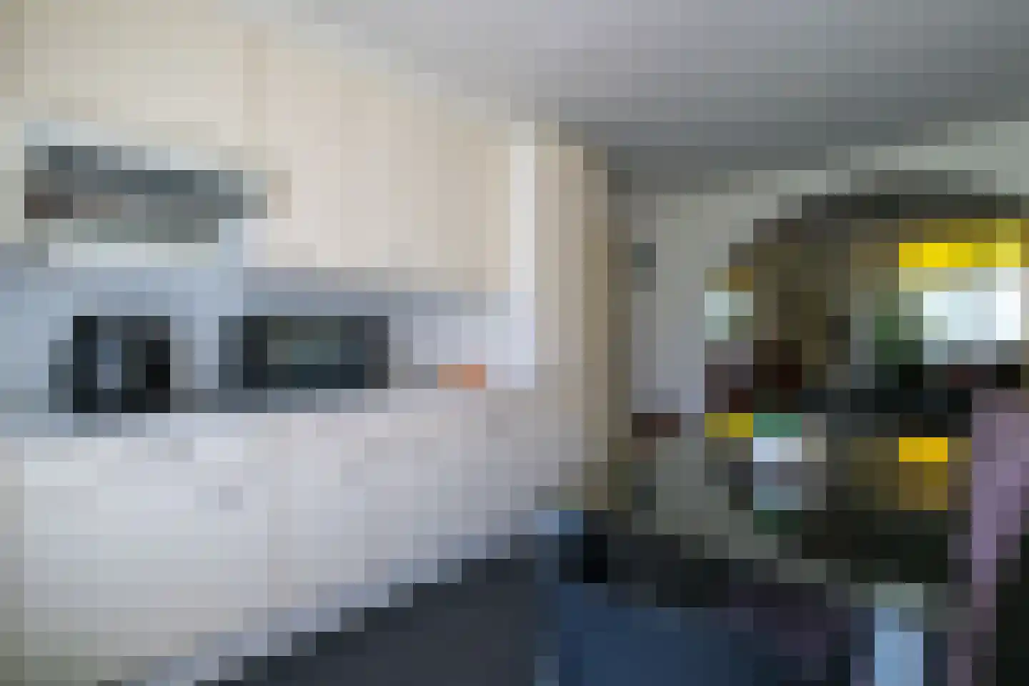 Peizerweg 178 Groningen thumbnail 19