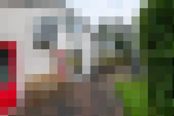 Peizerweg 178 Groningen thumbnail 33