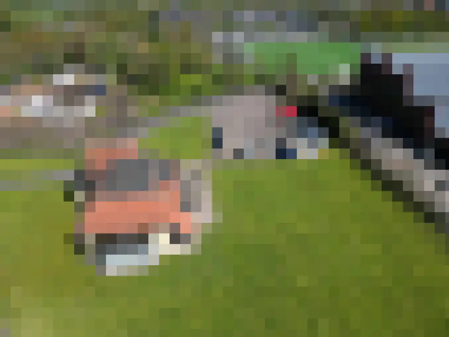 Peizerweg 178 Groningen thumbnail 39