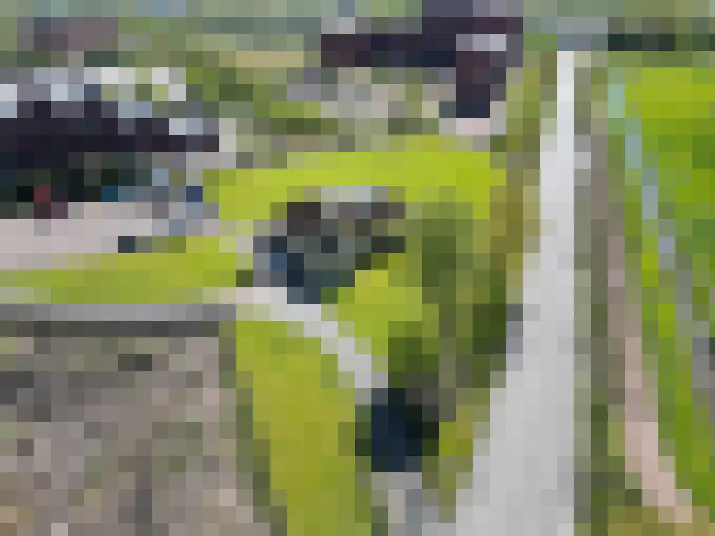 Peizerweg 178 Groningen thumbnail 40