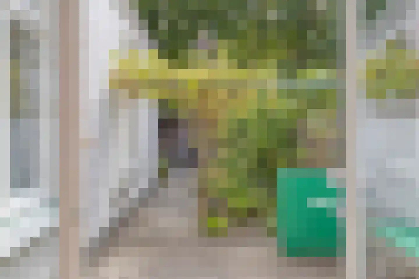 Peizerweg 18 Groningen thumbnail 18