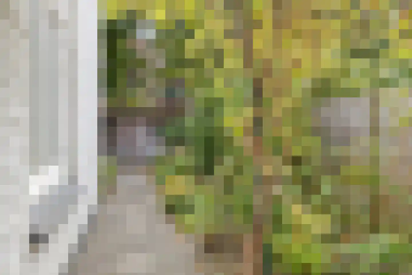 Peizerweg 18 Groningen thumbnail 19