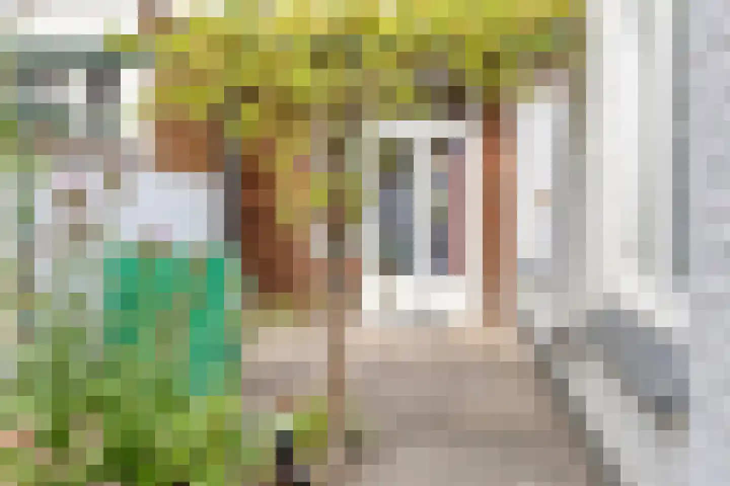 Peizerweg 18 Groningen thumbnail 24