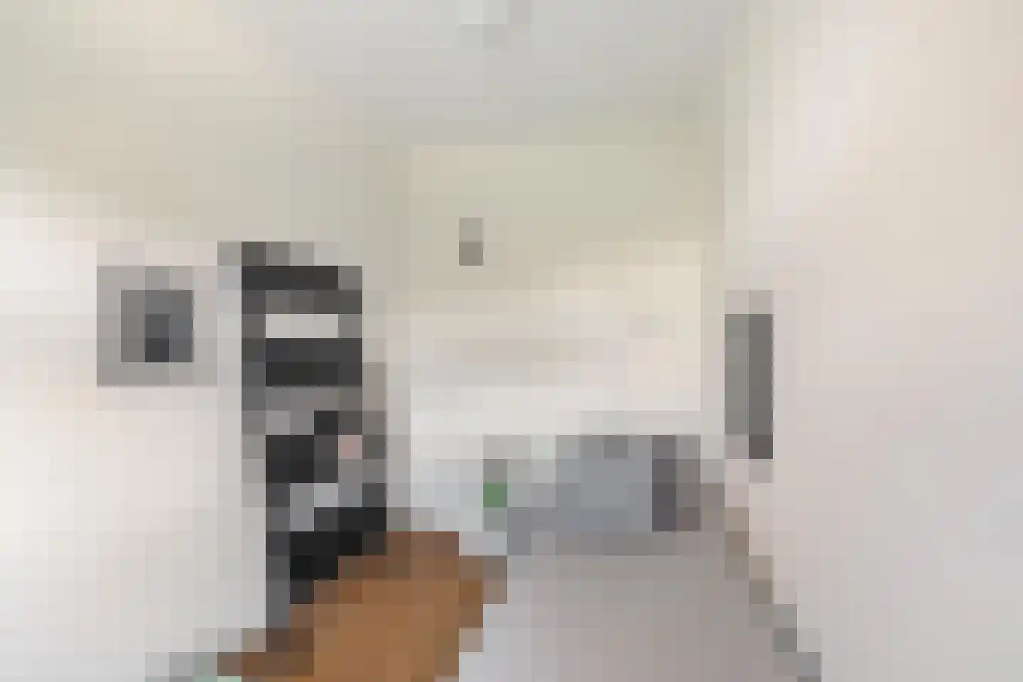 Peizerweg 19 Groningen thumbnail 14