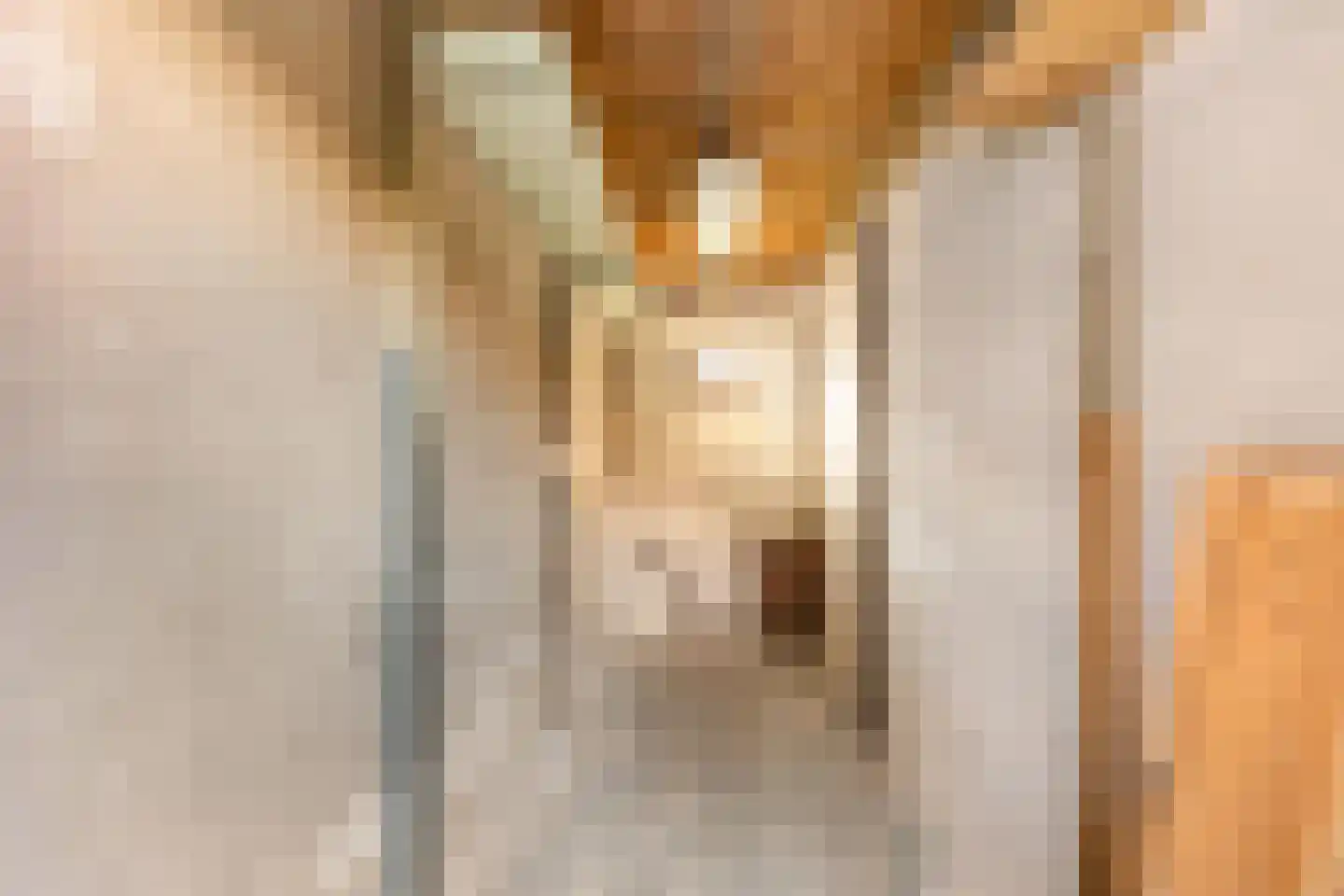 Peizerweg 19 Groningen thumbnail 26