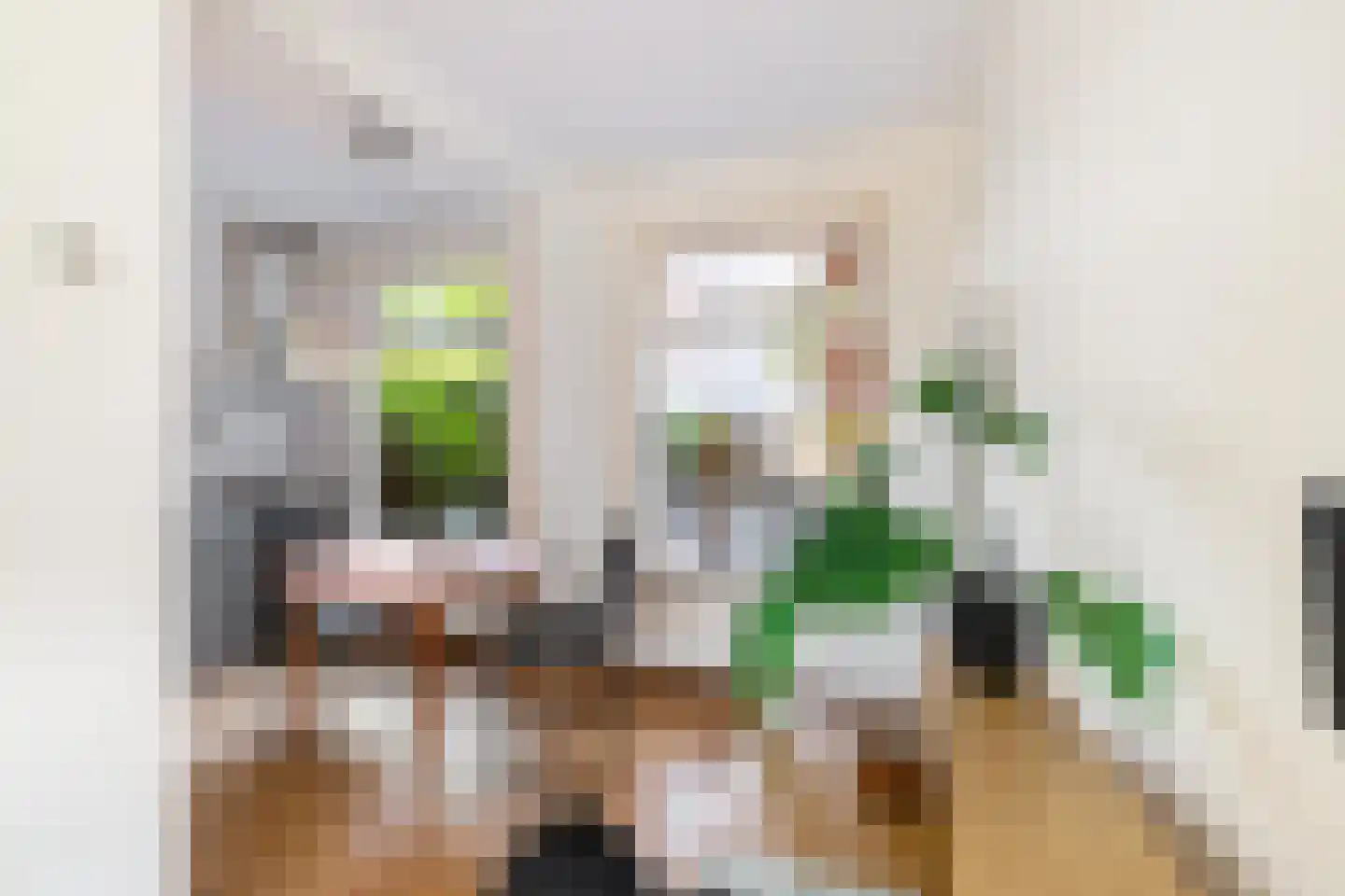 Peizerweg 19 Groningen thumbnail 9
