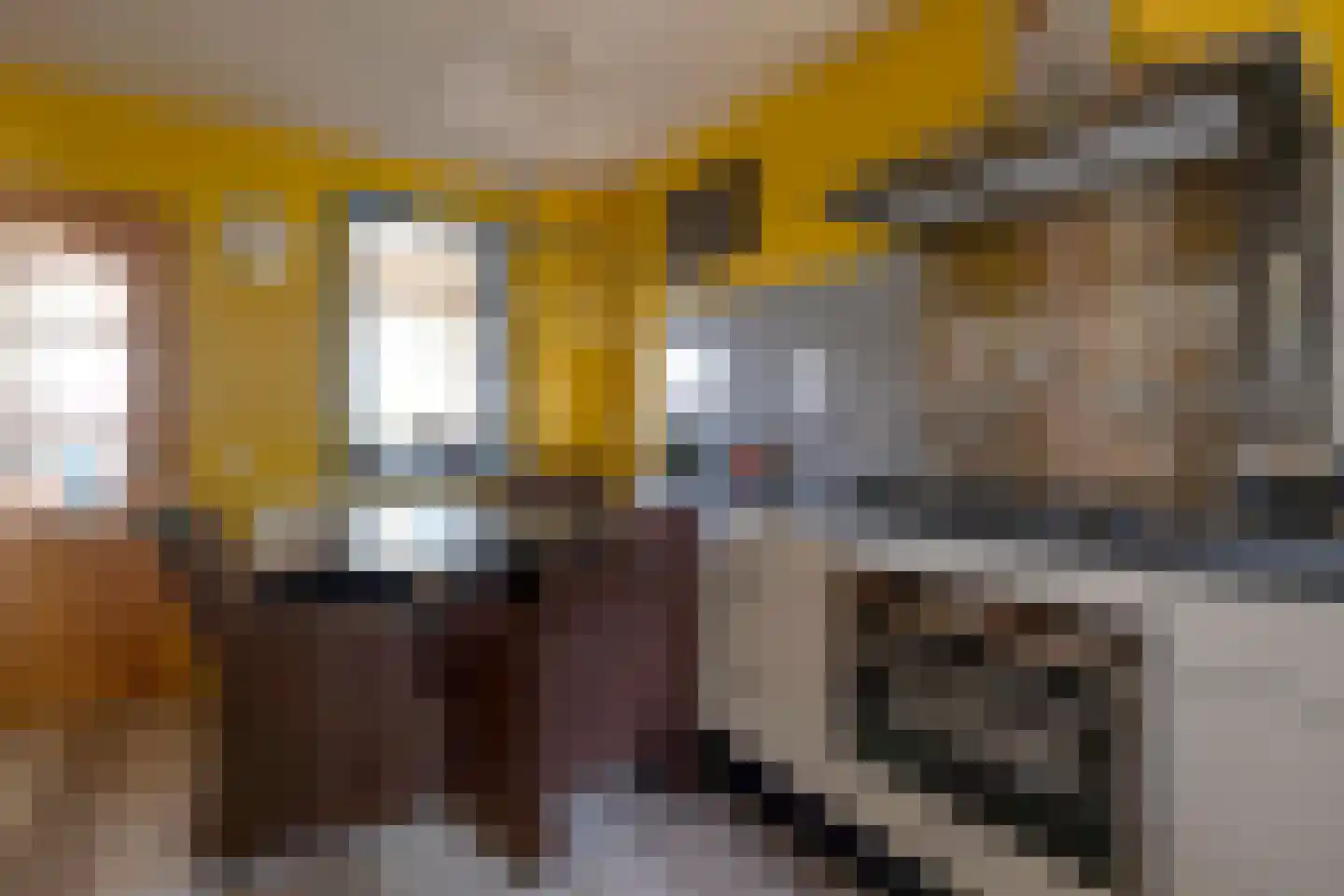 Peizerweg 229 Groningen thumbnail 13
