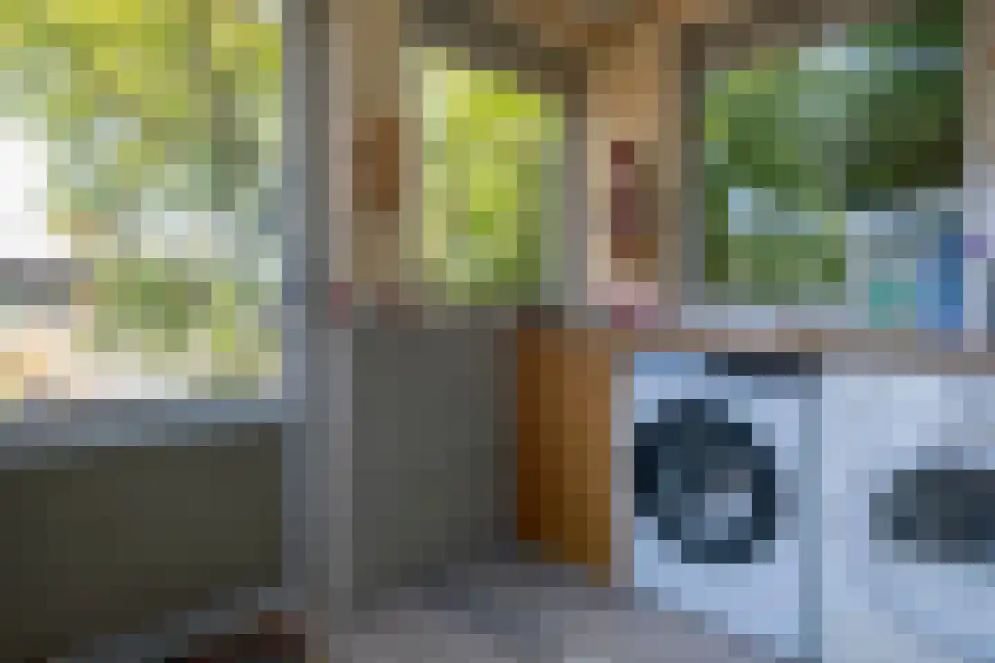 Peizerweg 229 Groningen thumbnail 17