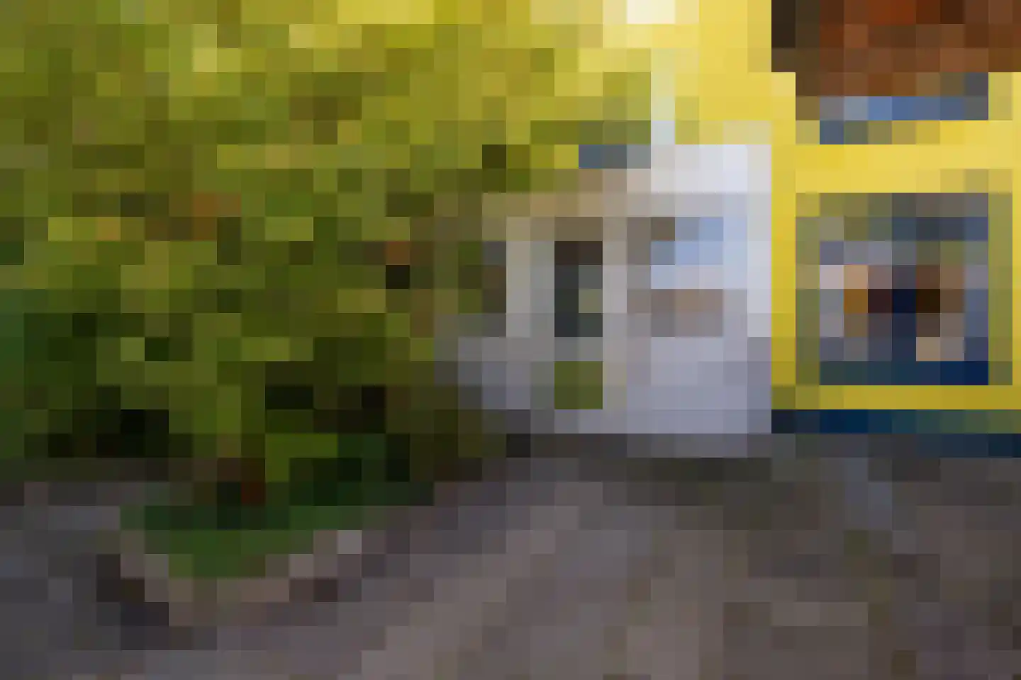 Peizerweg 229 Groningen thumbnail 24