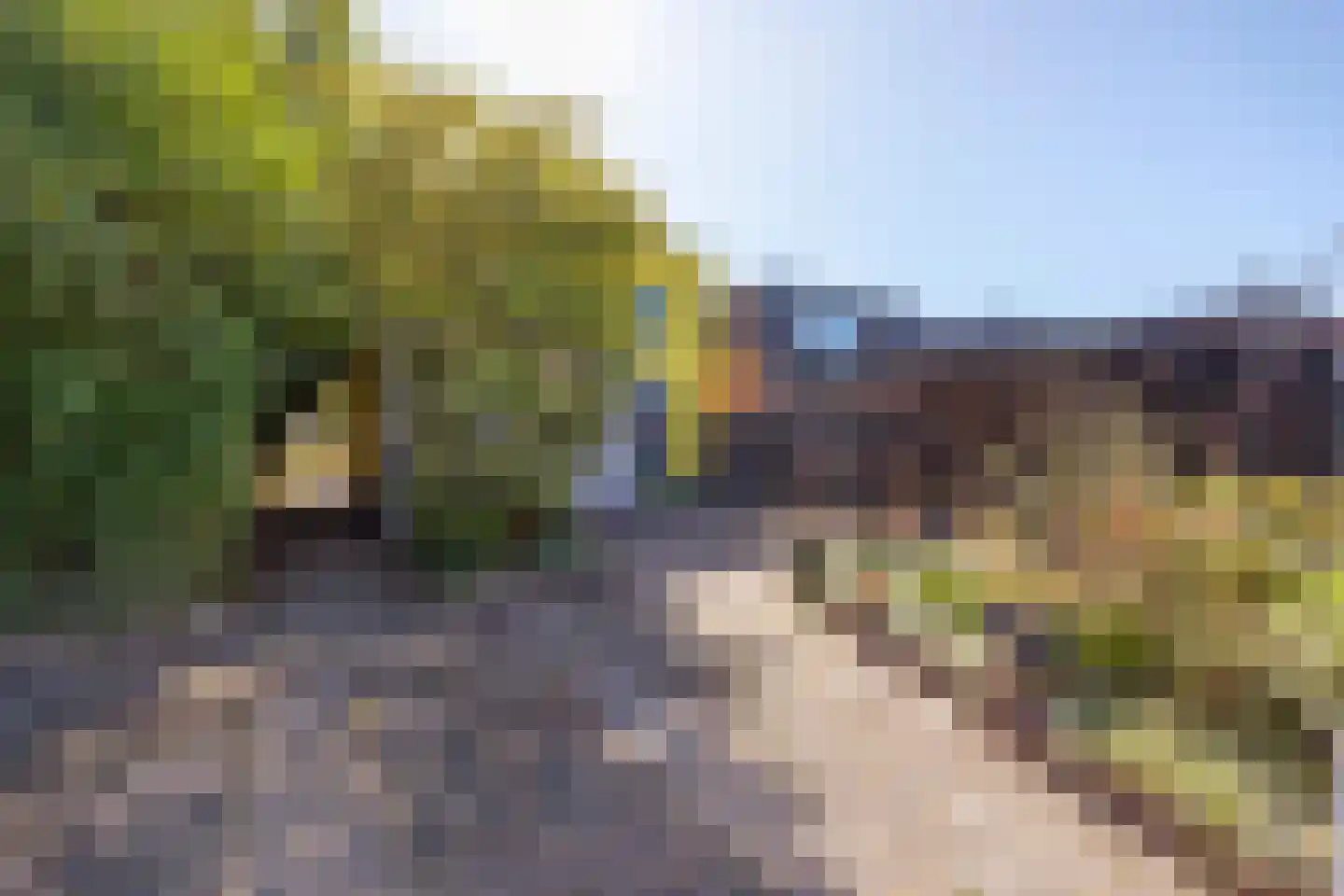 Peizerweg 229 Groningen thumbnail 26