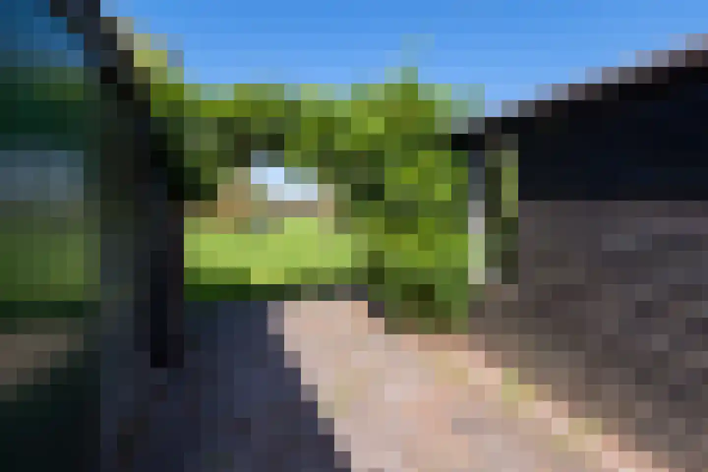 Peizerweg 229 Groningen thumbnail 28