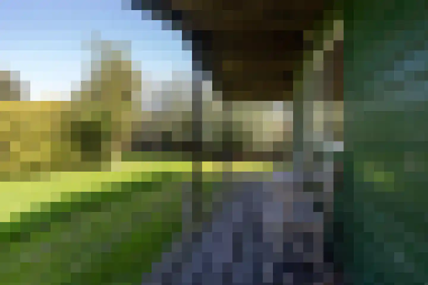 Peizerweg 229 Groningen thumbnail 31