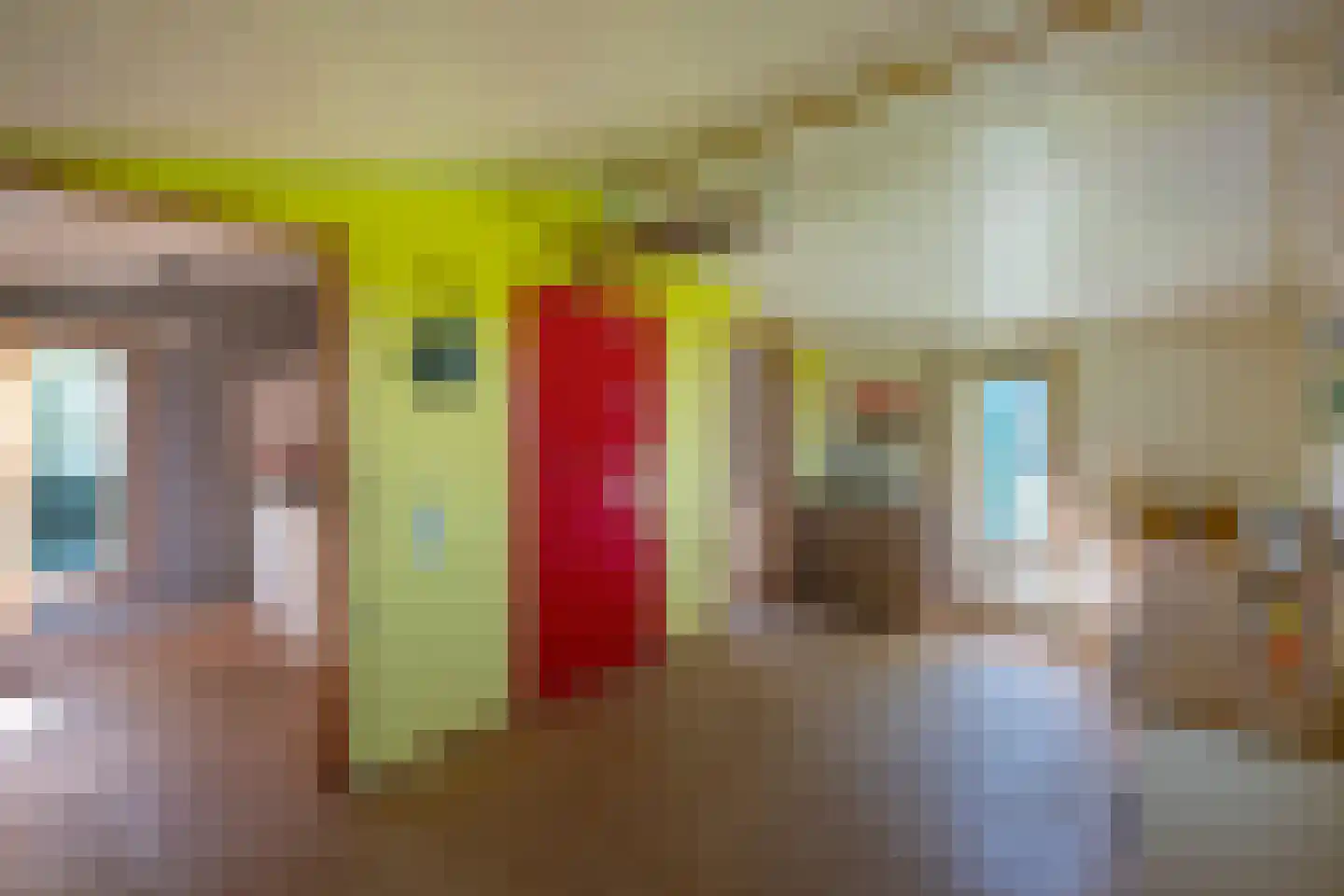 Peizerweg 229 Groningen thumbnail 32