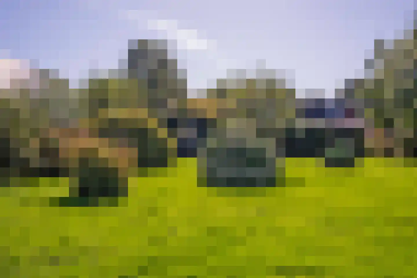 Peizerweg 229 Groningen thumbnail 37