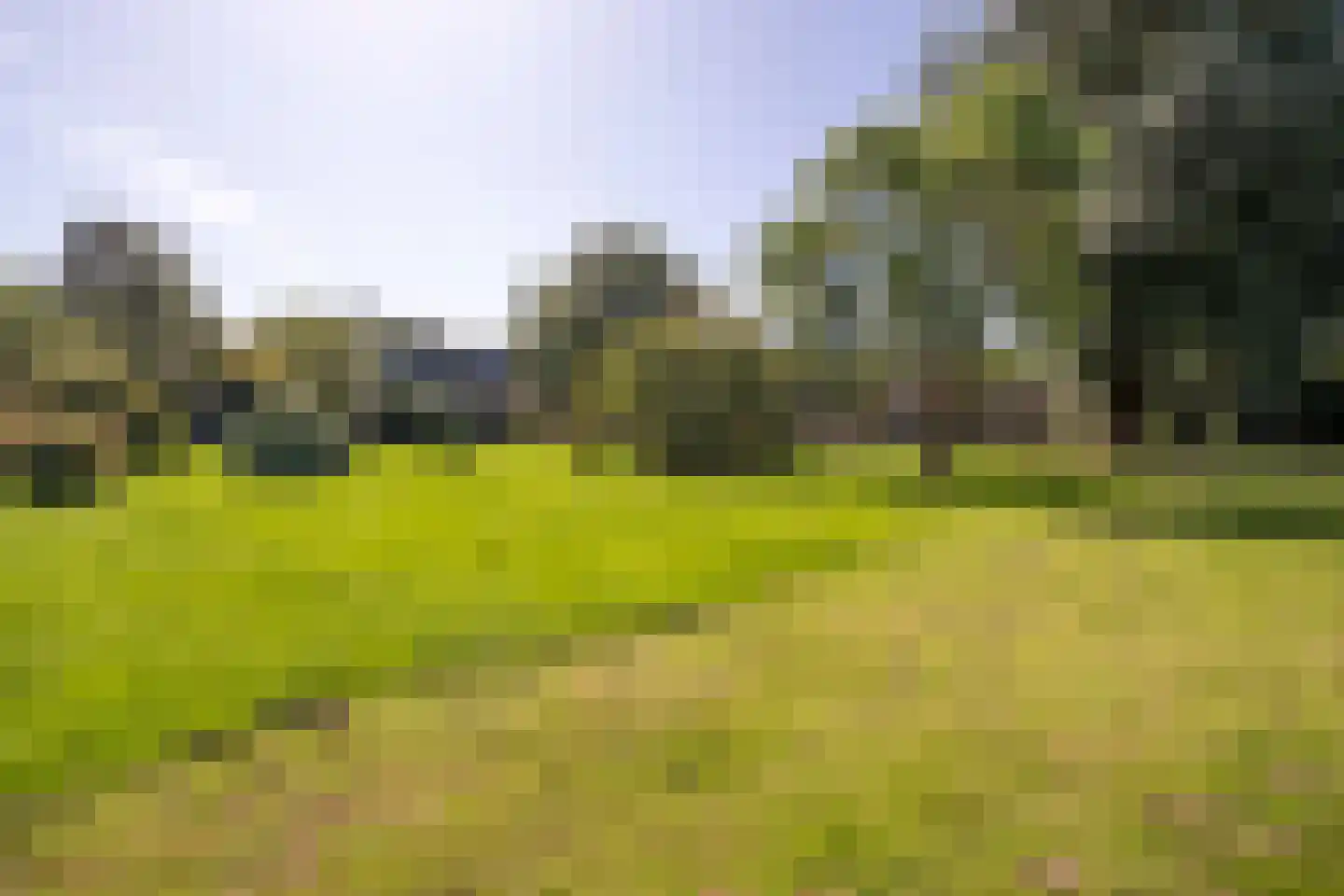 Peizerweg 229 Groningen thumbnail 38