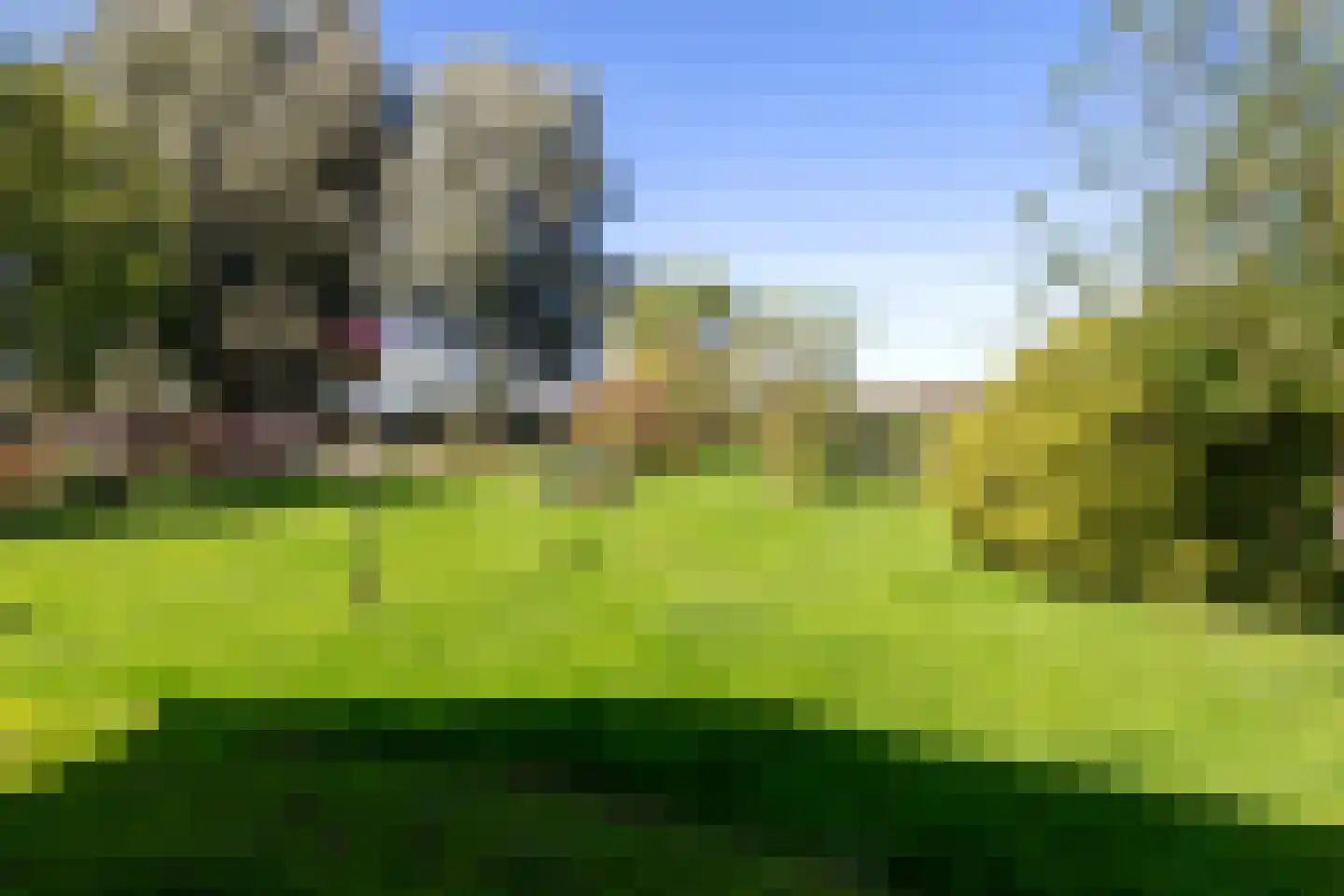 Peizerweg 229 Groningen thumbnail 40