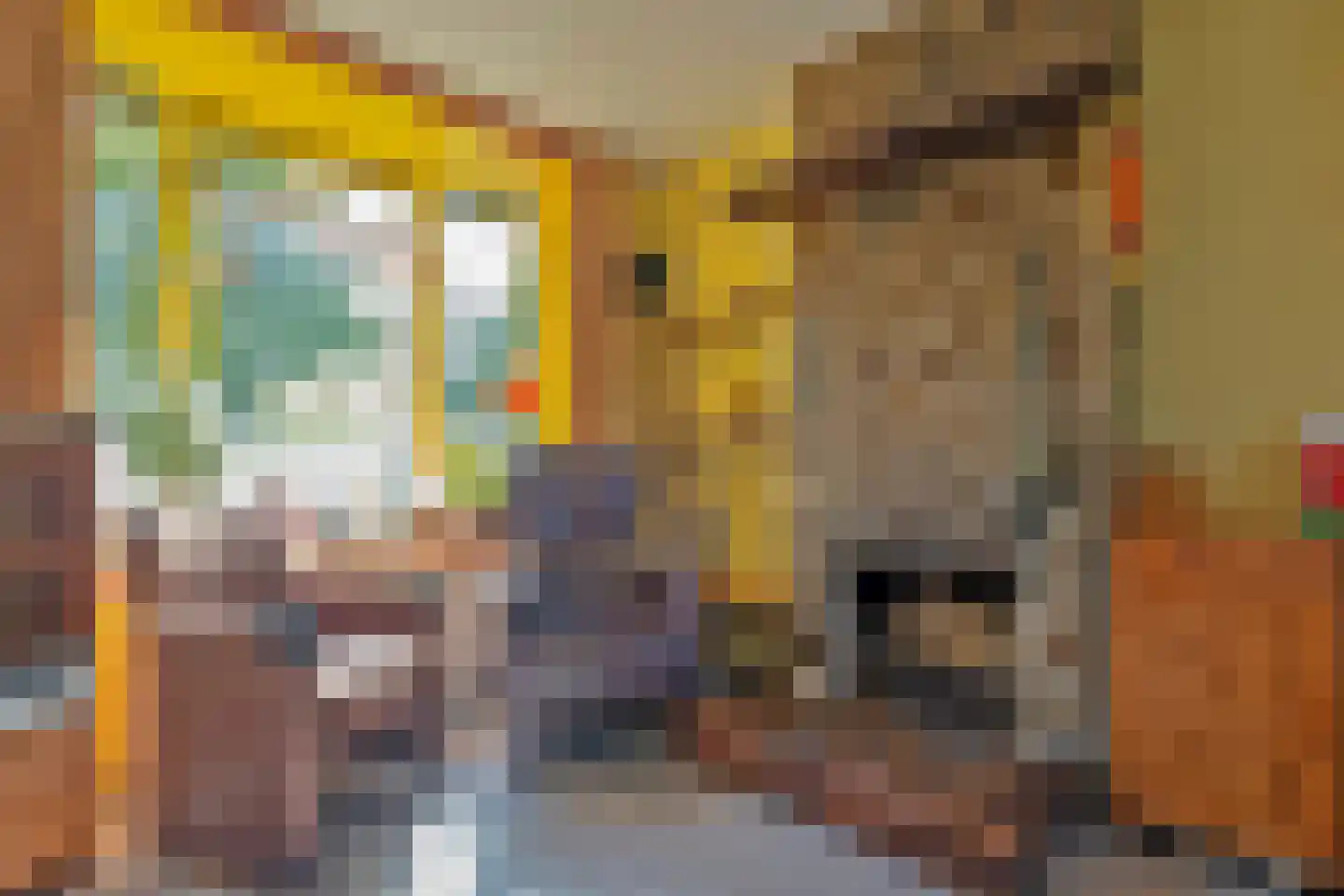 Peizerweg 229 Groningen thumbnail 9