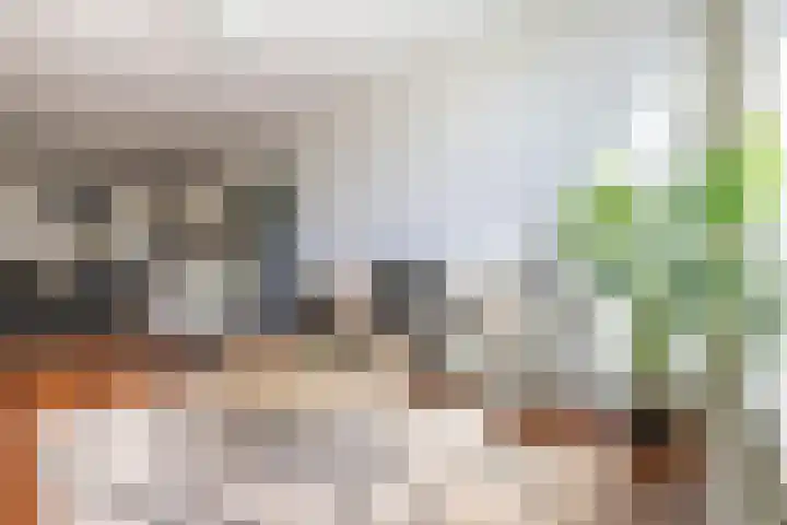 Peizerweg 3 Groningen thumbnail 10
