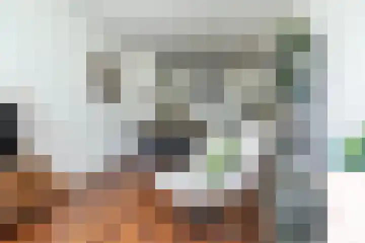 Peizerweg 3 Groningen thumbnail 11