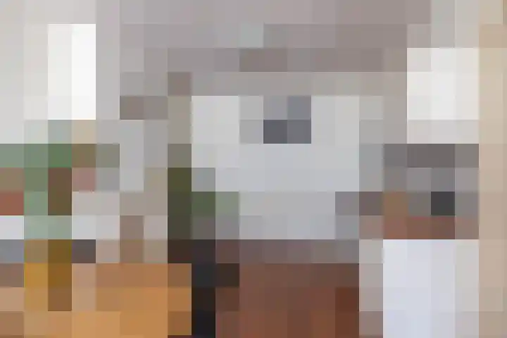 Peizerweg 3 Groningen thumbnail 13
