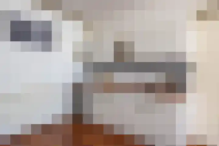 Peizerweg 3 Groningen thumbnail 14