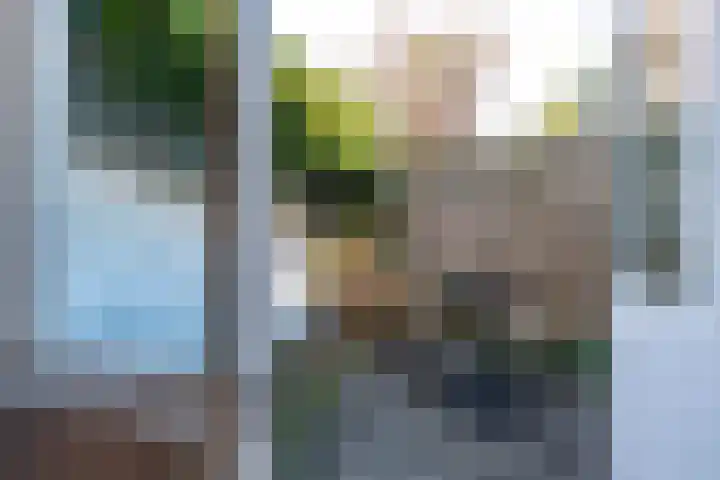Peizerweg 3 Groningen thumbnail 26