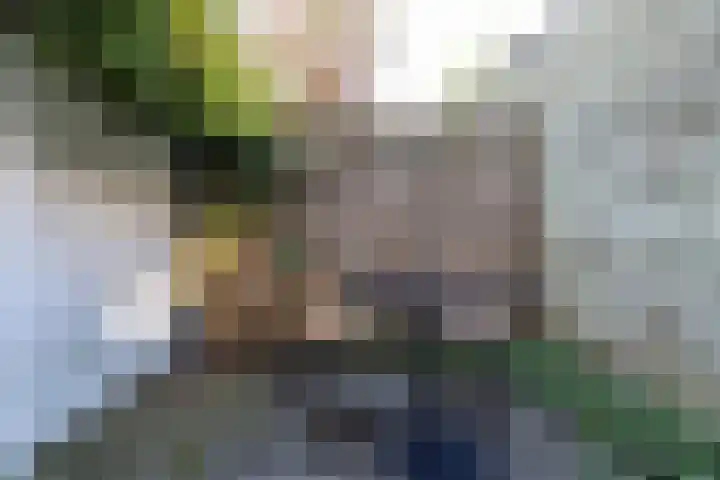 Peizerweg 3 Groningen thumbnail 27