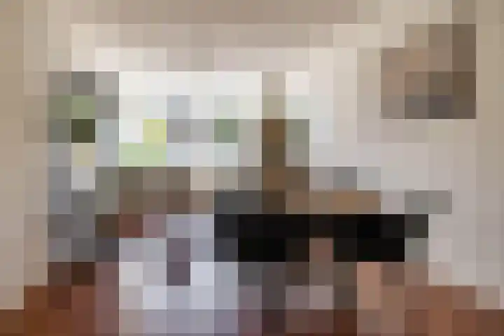 Peizerweg 3 Groningen thumbnail 7