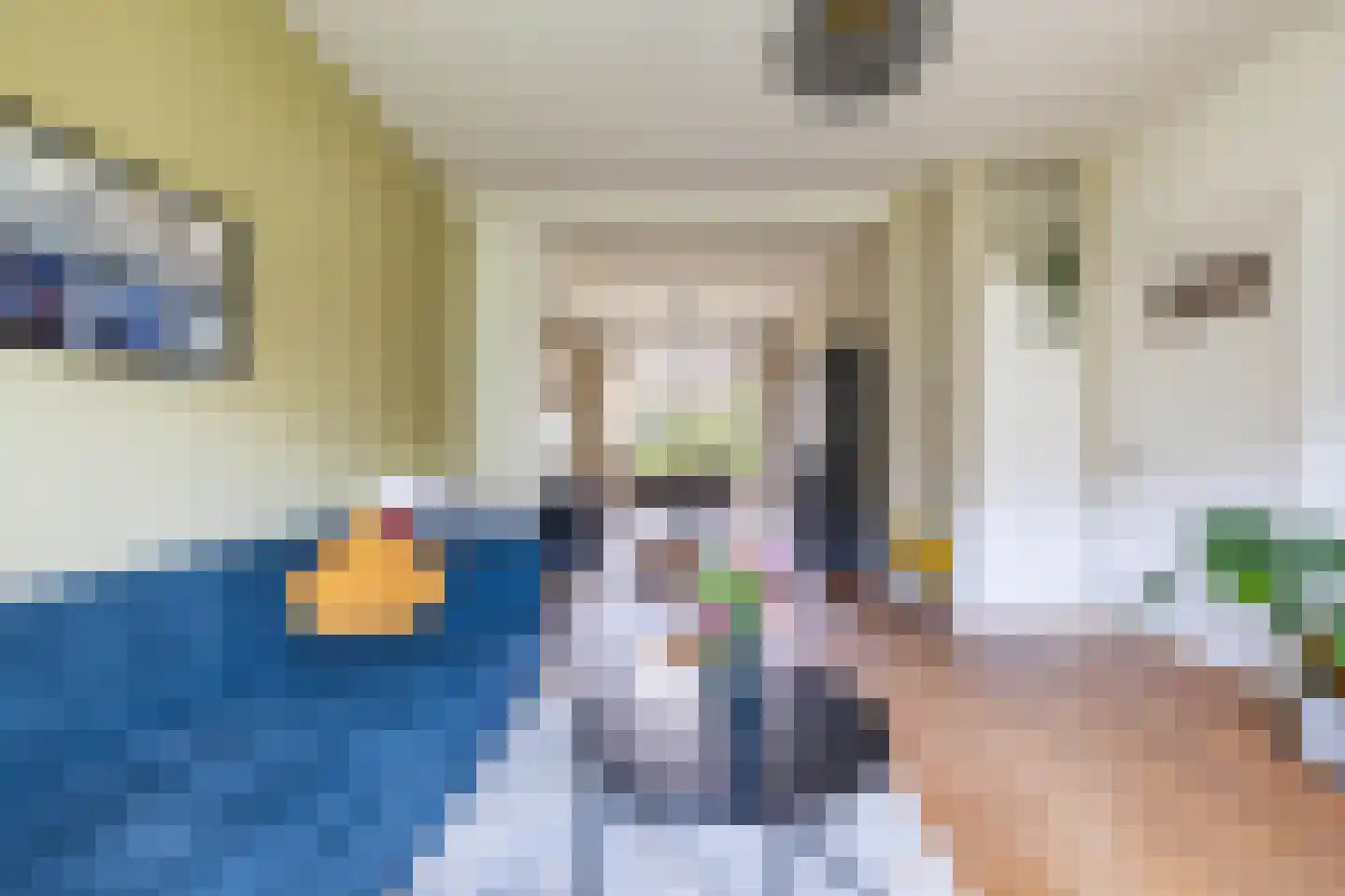 Peizerweg 33 Groningen thumbnail 10