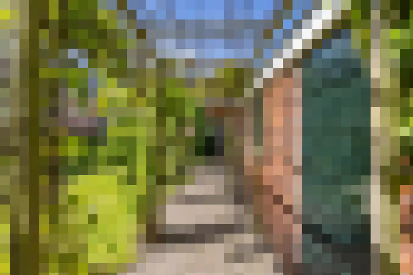 Peizerweg 33 Groningen thumbnail 33