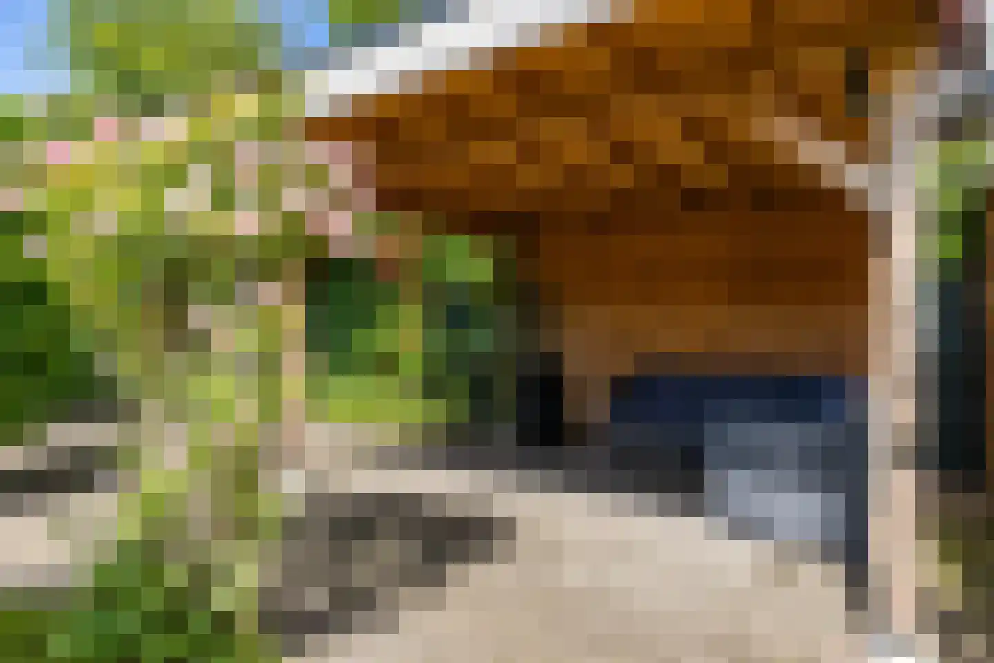 Peizerweg 33 Groningen thumbnail 34