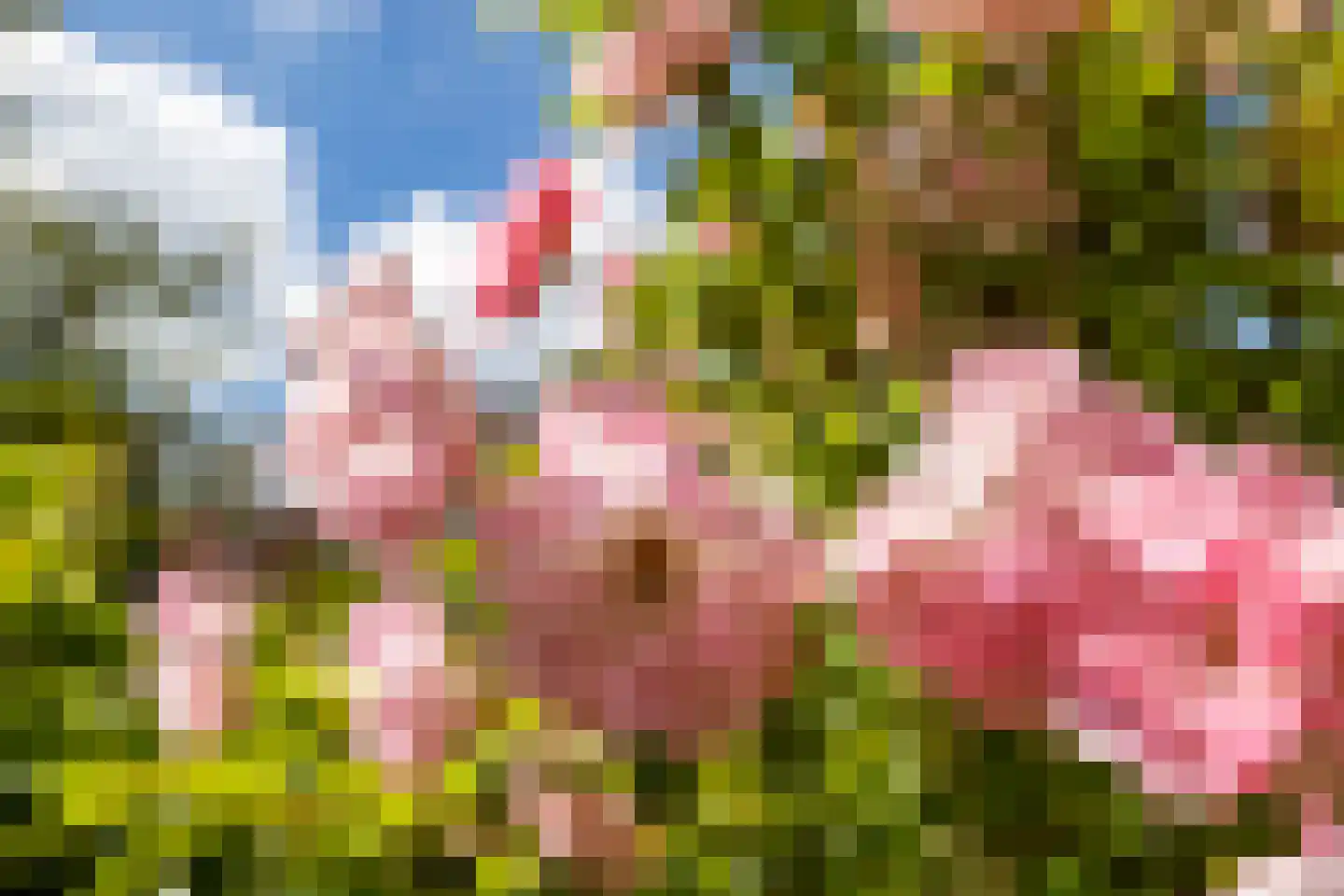 Peizerweg 33 Groningen thumbnail 36