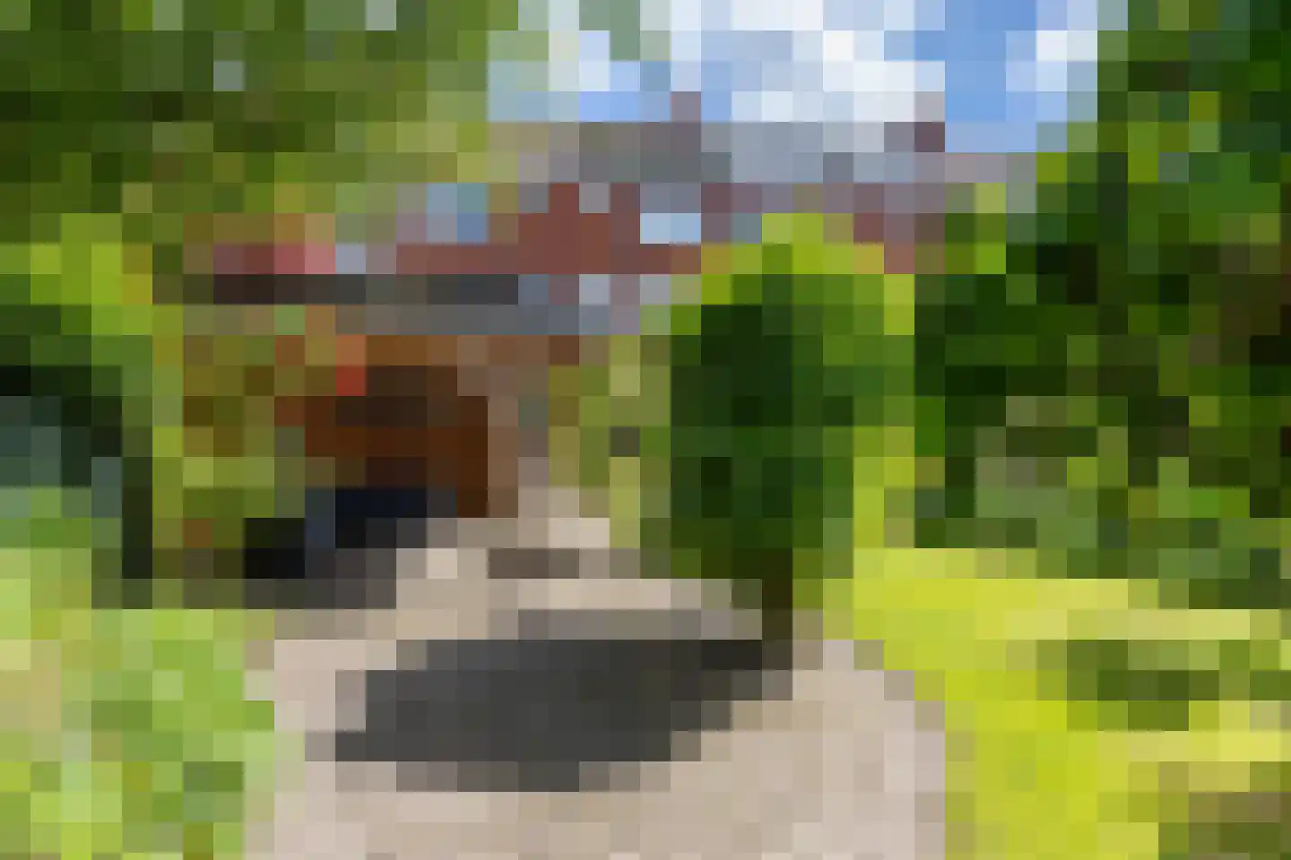 Peizerweg 33 Groningen thumbnail 37