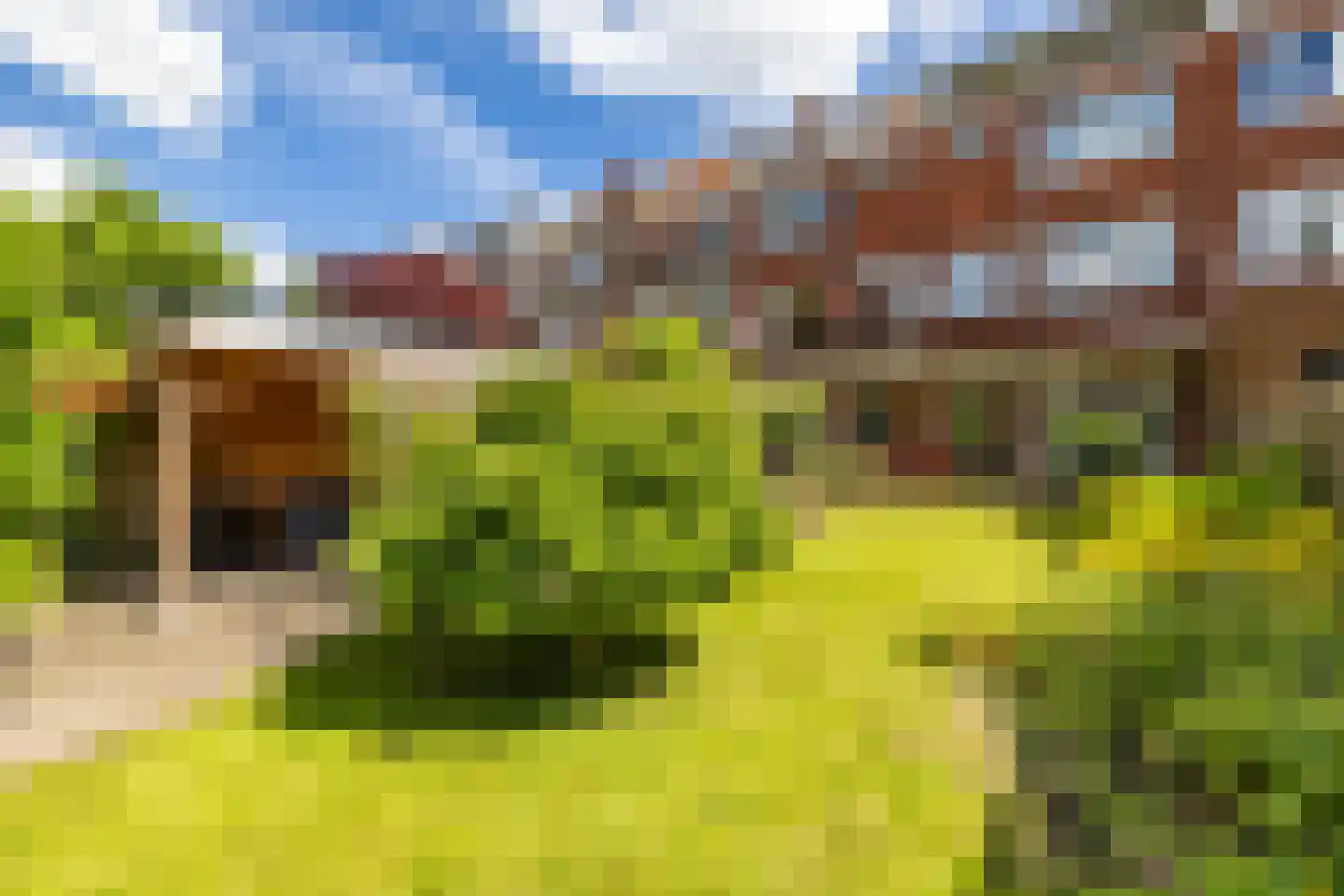 Peizerweg 33 Groningen thumbnail 38