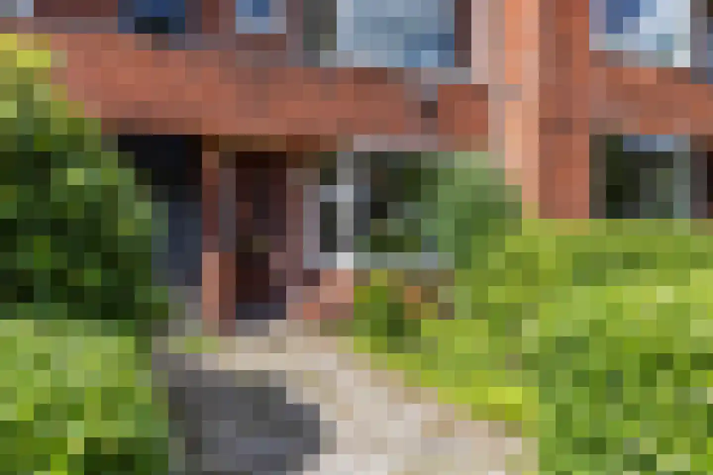 Peizerweg 33 Groningen thumbnail 4