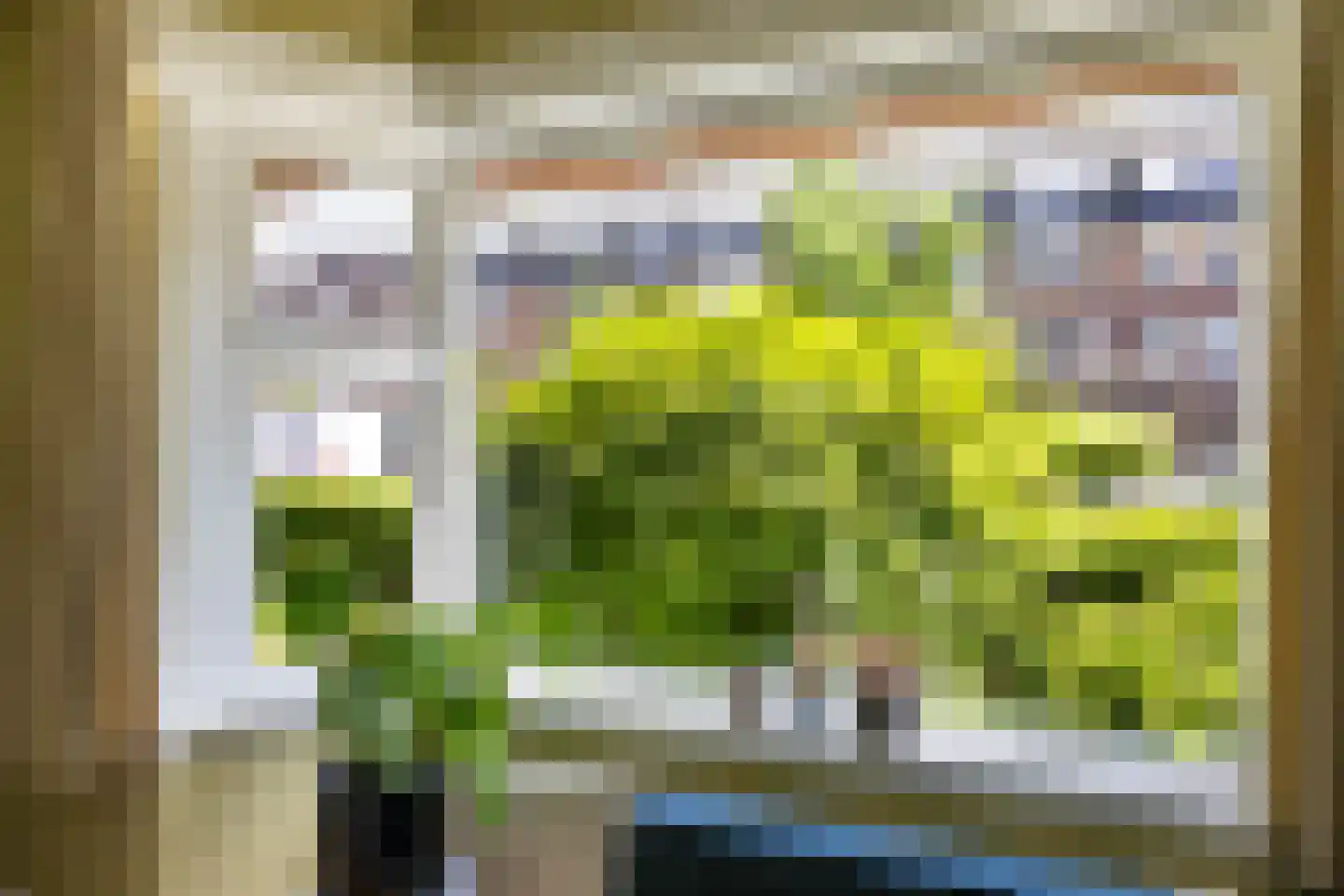 Peizerweg 33 Groningen thumbnail 8