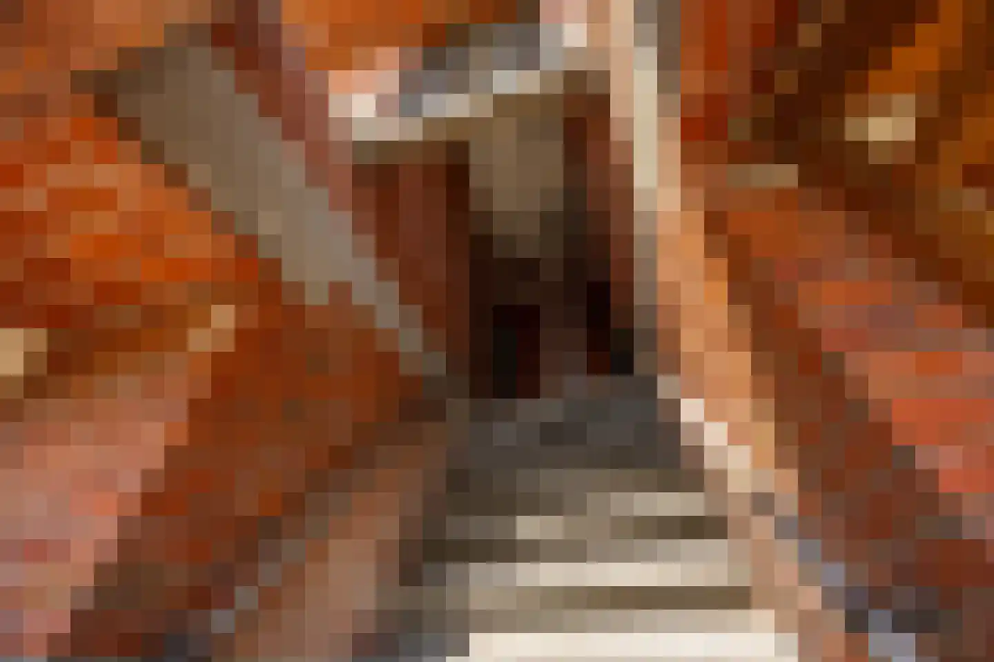 Peizerweg 47 b Groningen thumbnail 10