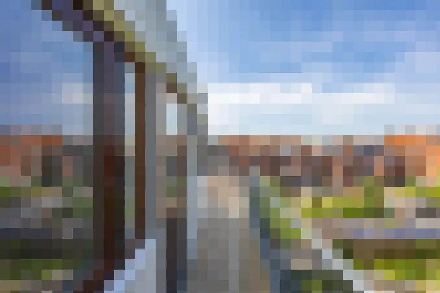 Peizerweg 47 b Groningen thumbnail 14