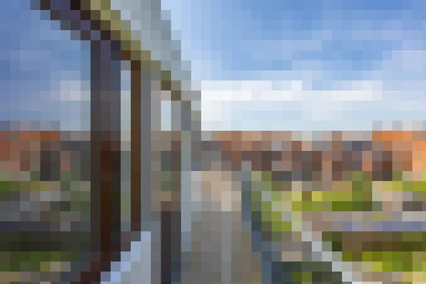 Peizerweg 47 b Groningen thumbnail 14