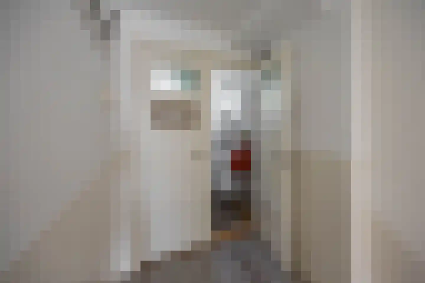 Peizerweg 47 b Groningen thumbnail 30