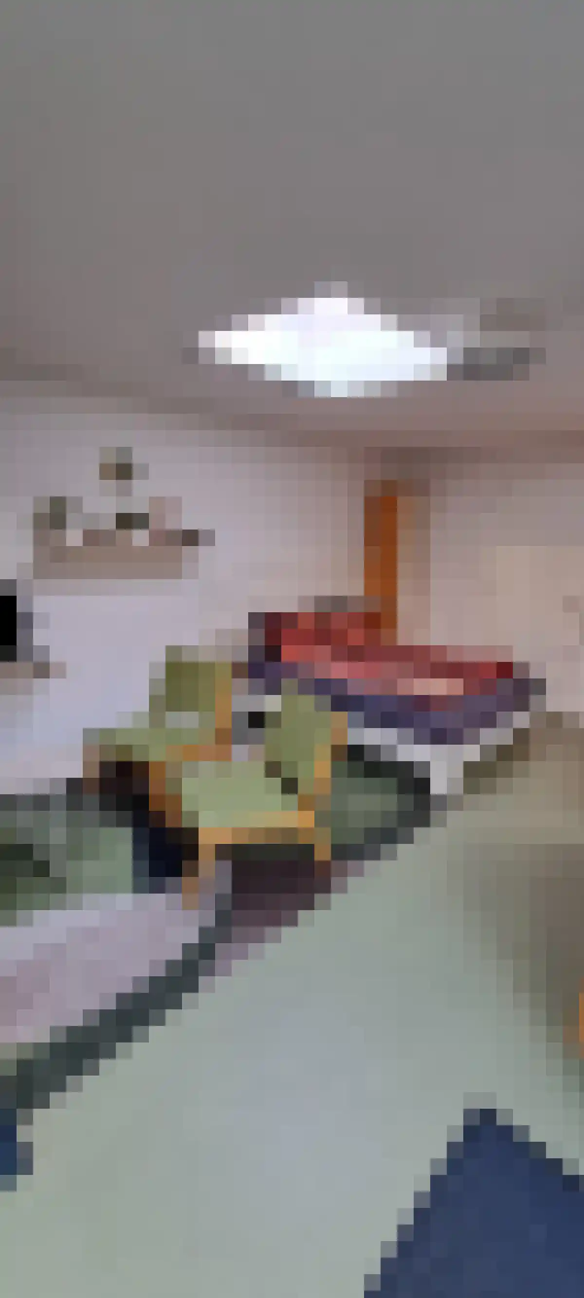 Peizerweg 53 Groningen thumbnail 4